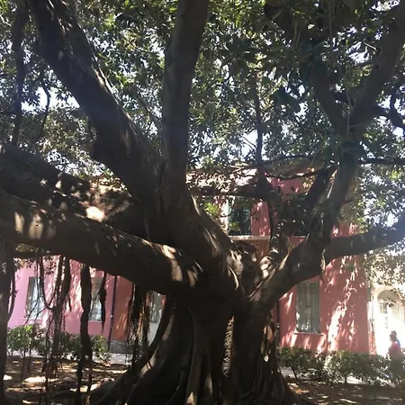 La Mia Casetta Ferienhaus